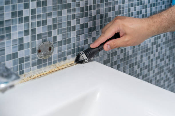 Best Best Mold Removal Companies  in Six Mile Run, NJ